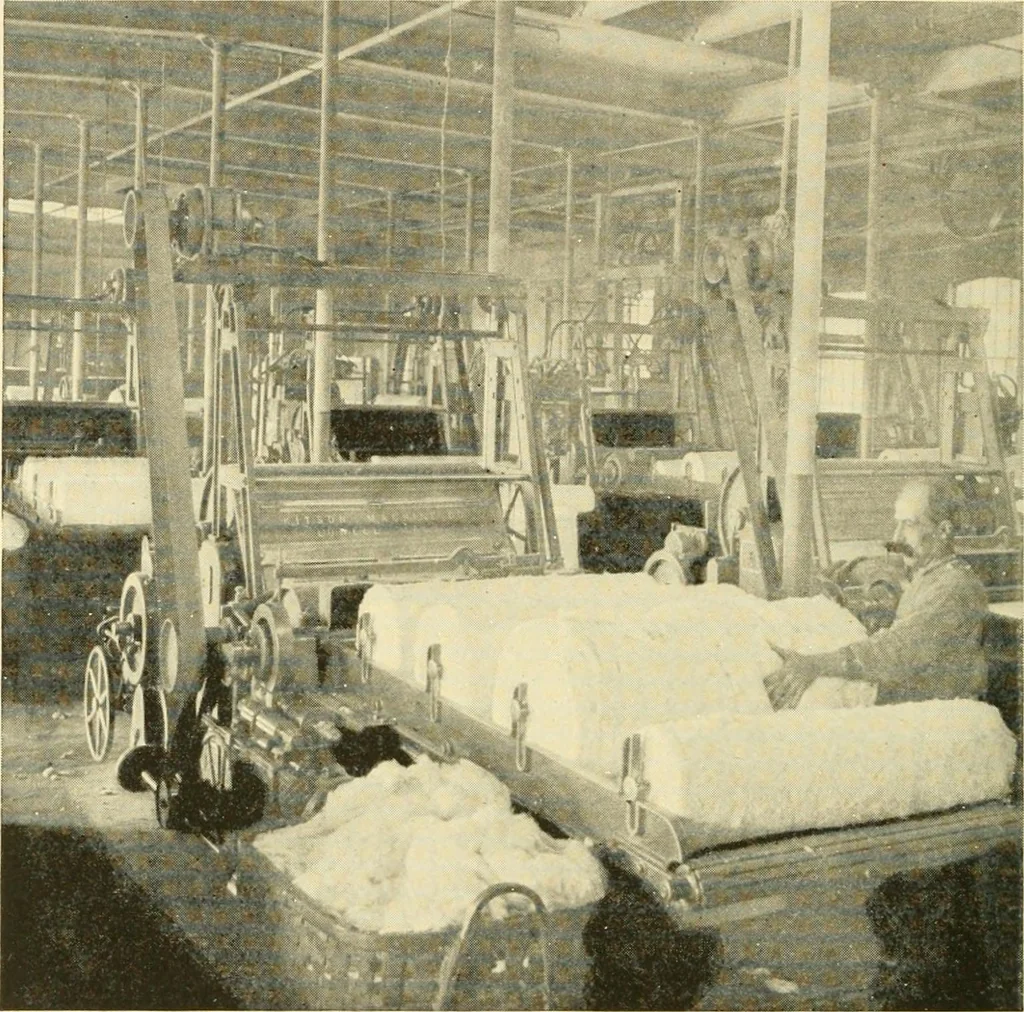 An illustration from Cotton and cotton manufacture, 1921, leaf 27