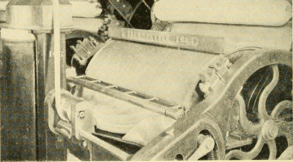 An illustration from Cotton and cotton manufacture, 1921, leaf 29