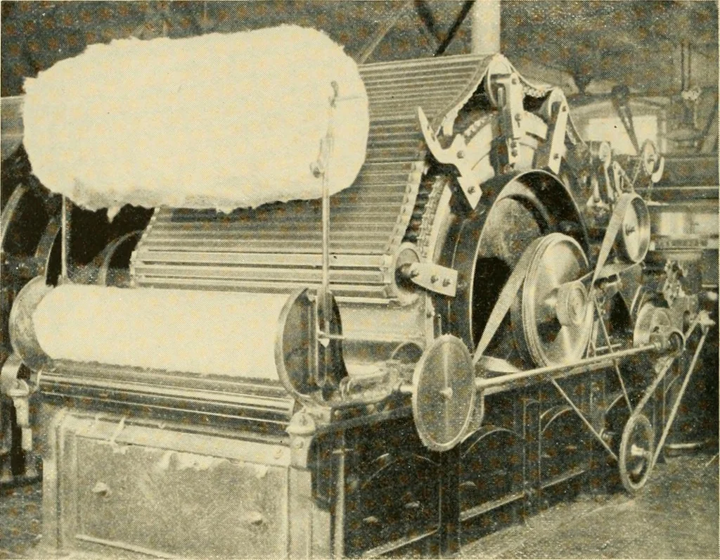 An illustration from Cotton and cotton manufacture, 1921, leaf 29