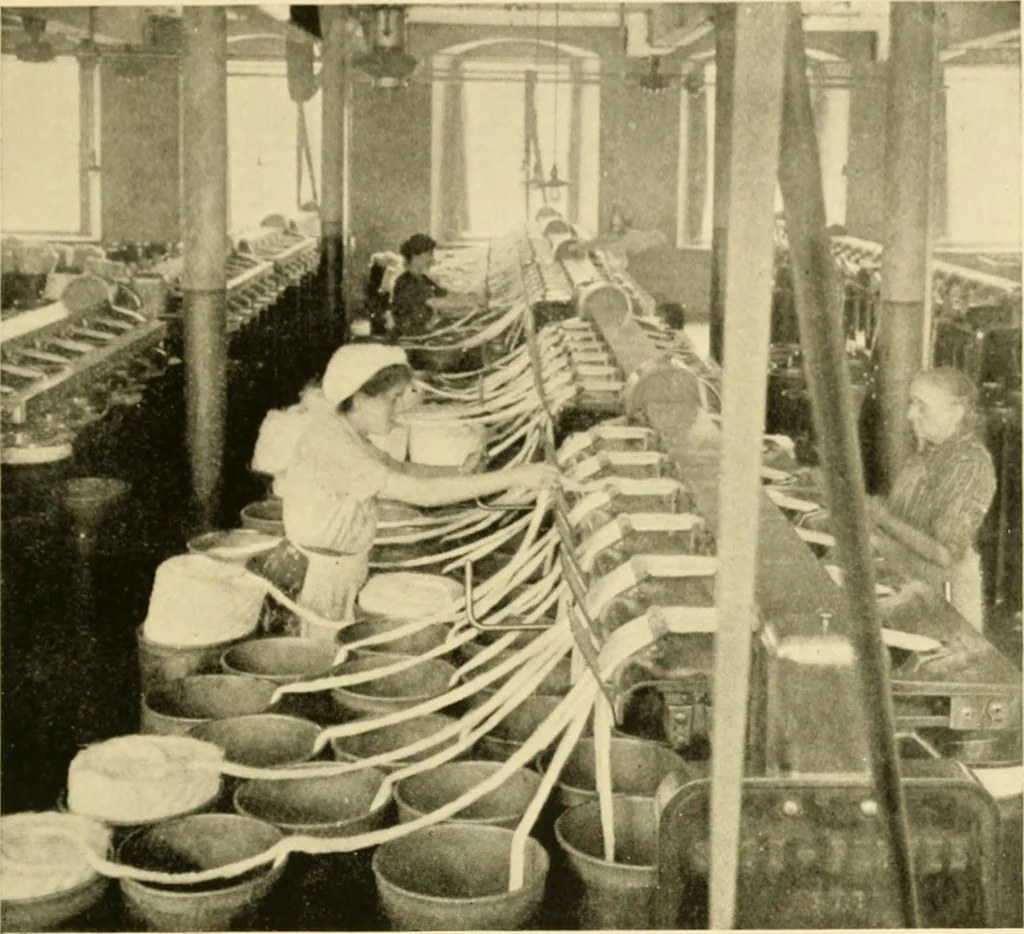An illustration from Cotton and cotton manufacture, 1921, leaf 30