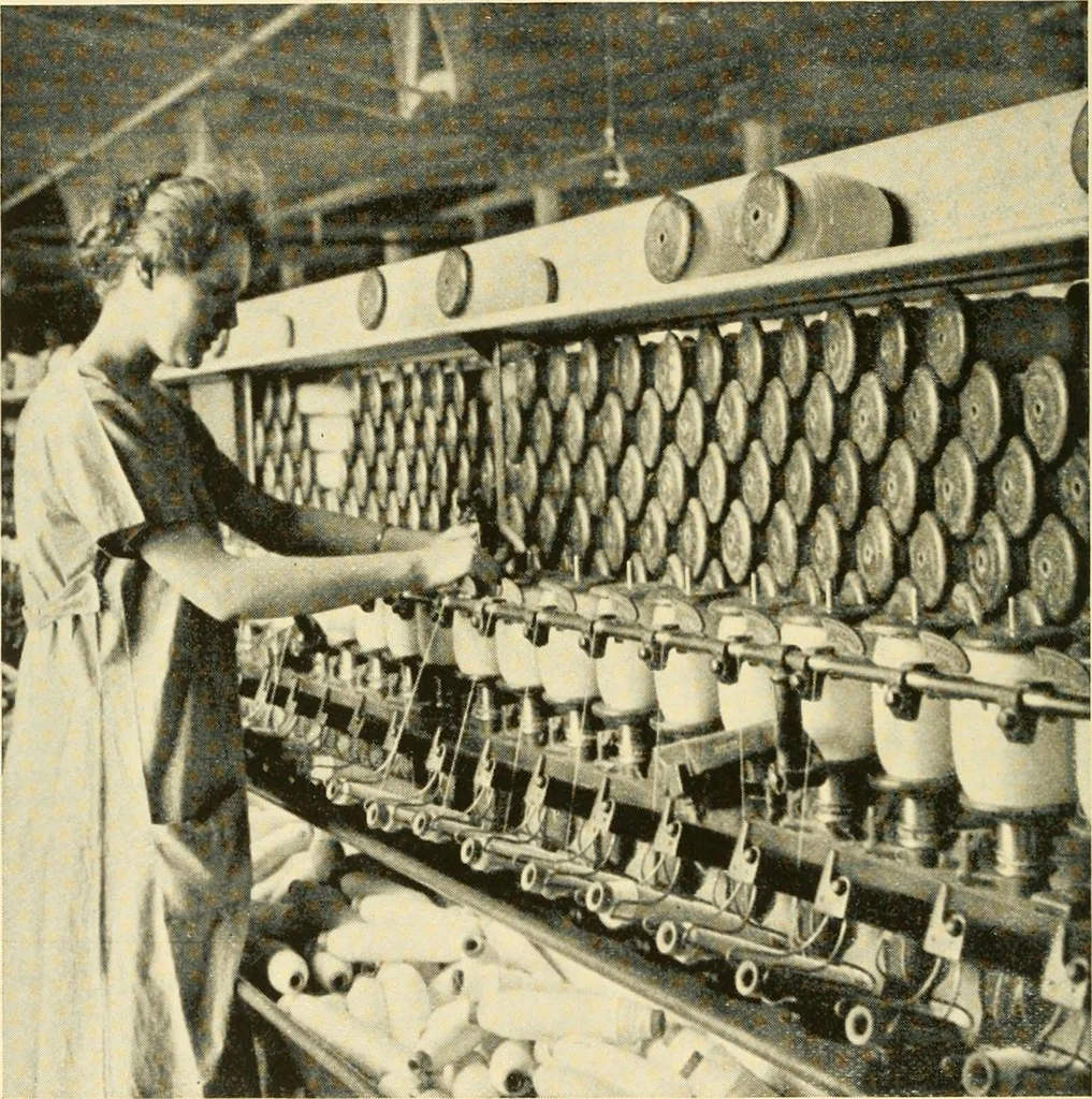 An illustration from Cotton and cotton manufacture, 1921, leaf 37