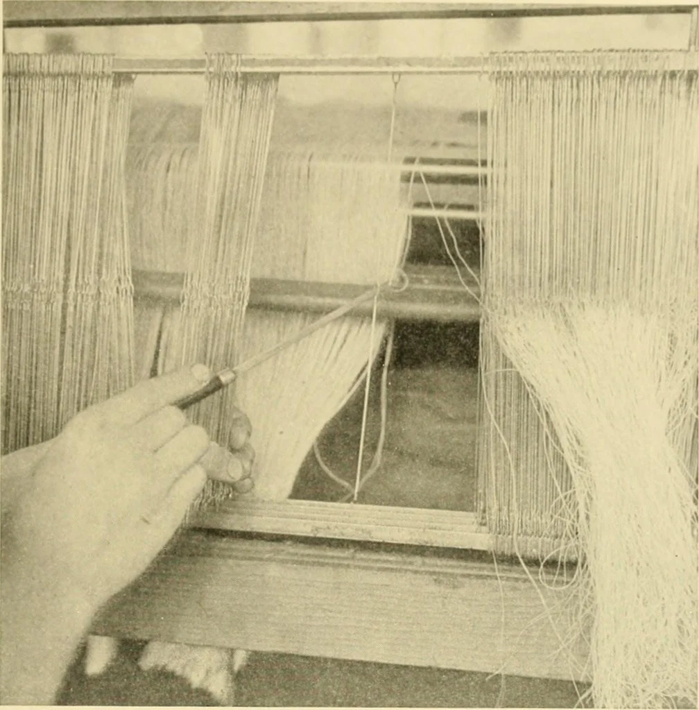 An illustration from Cotton and cotton manufacture, 1921, leaf 40