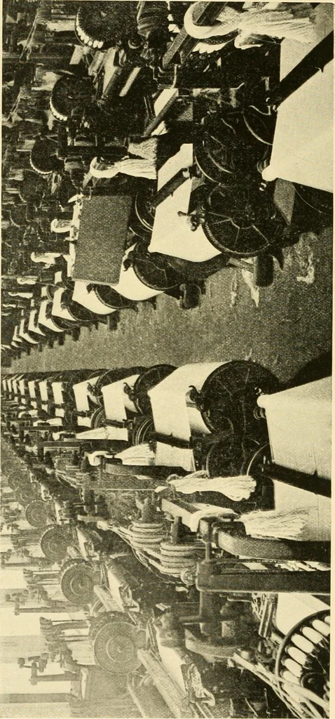 An illustration from Cotton and cotton manufacture, 1921, leaf 41