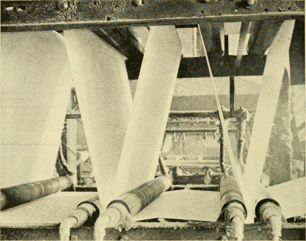 An illustration from Cotton and cotton manufacture, 1921, leaf 45