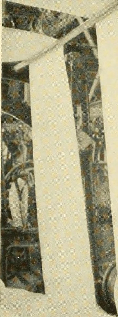 An illustration from Cotton and cotton manufacture, 1921, leaf 45