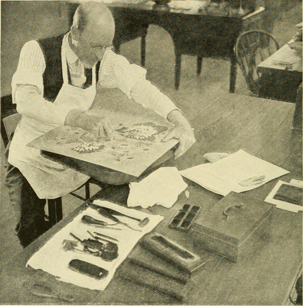 An illustration from Cotton and cotton manufacture, 1921, leaf 49