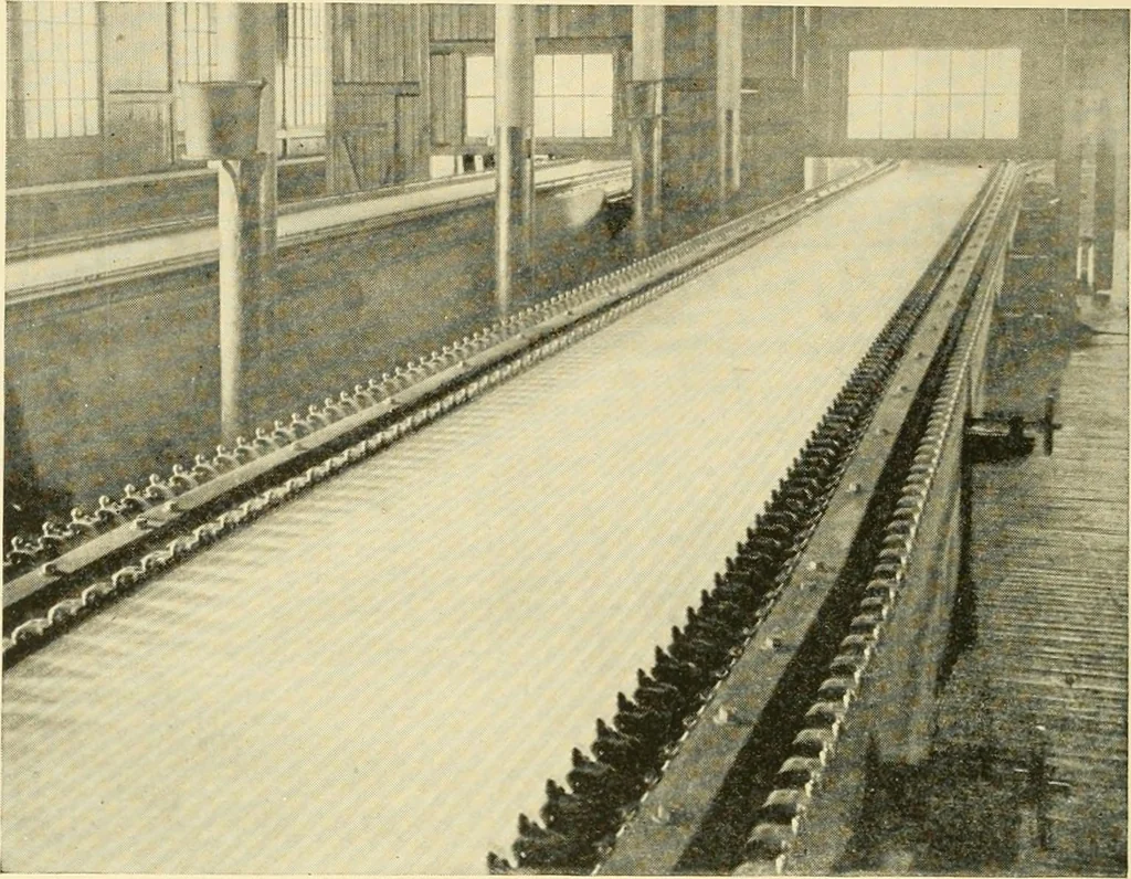 An illustration from Cotton and cotton manufacture, 1921, leaf 51