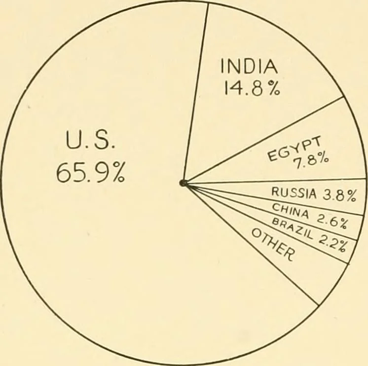 An illustration from Cotton and cotton manufacture, 1921, leaf 63