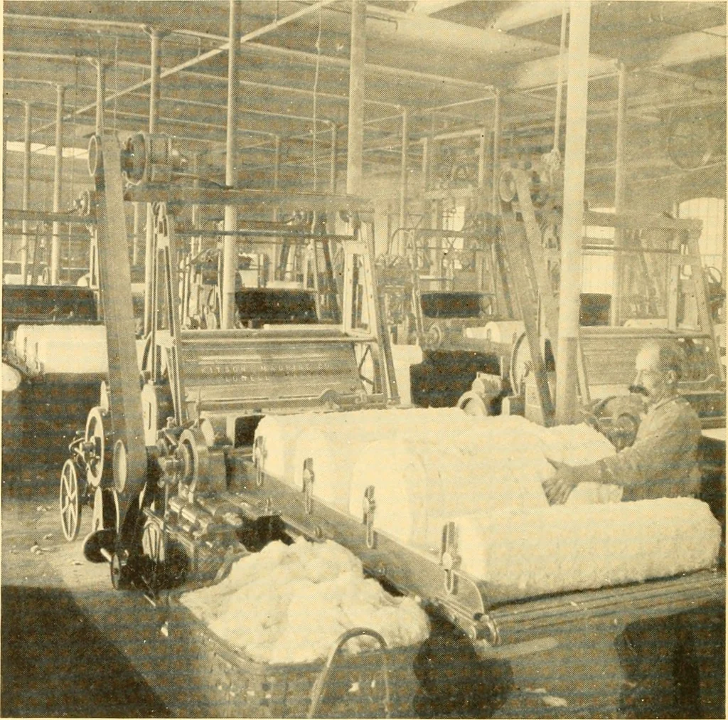 An illustration from Cotton and cotton manufacture, 1921, leaf 27