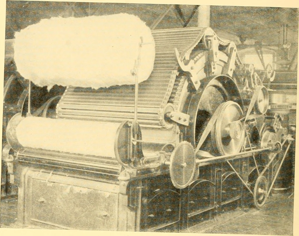An illustration from Cotton and cotton manufacture, 1921, leaf 29