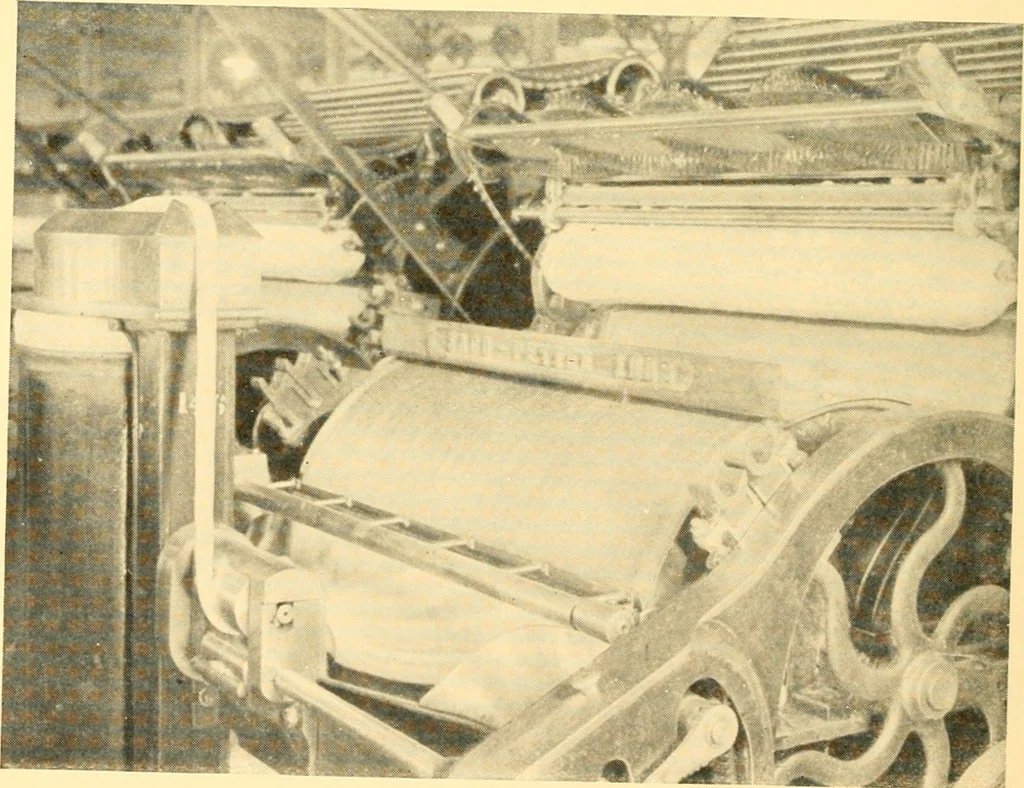 An illustration from Cotton and cotton manufacture, 1921, leaf 29