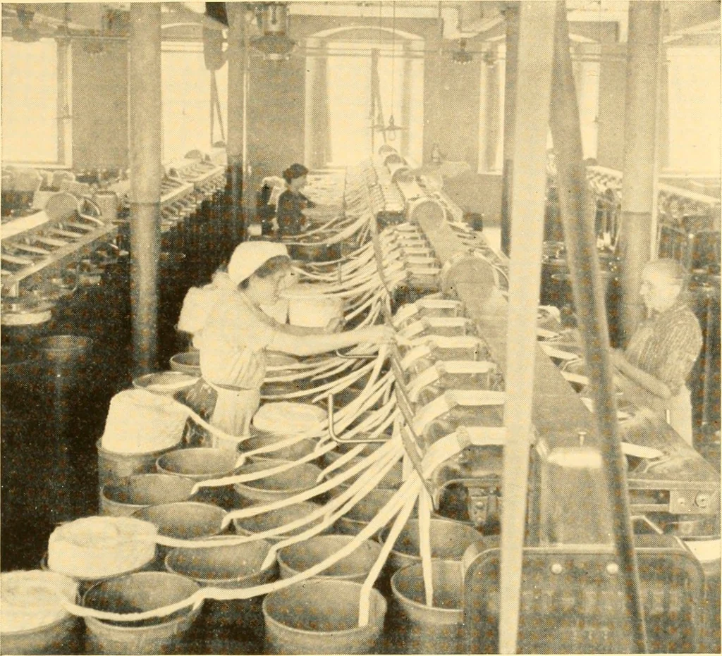 An illustration from Cotton and cotton manufacture, 1921, leaf 30