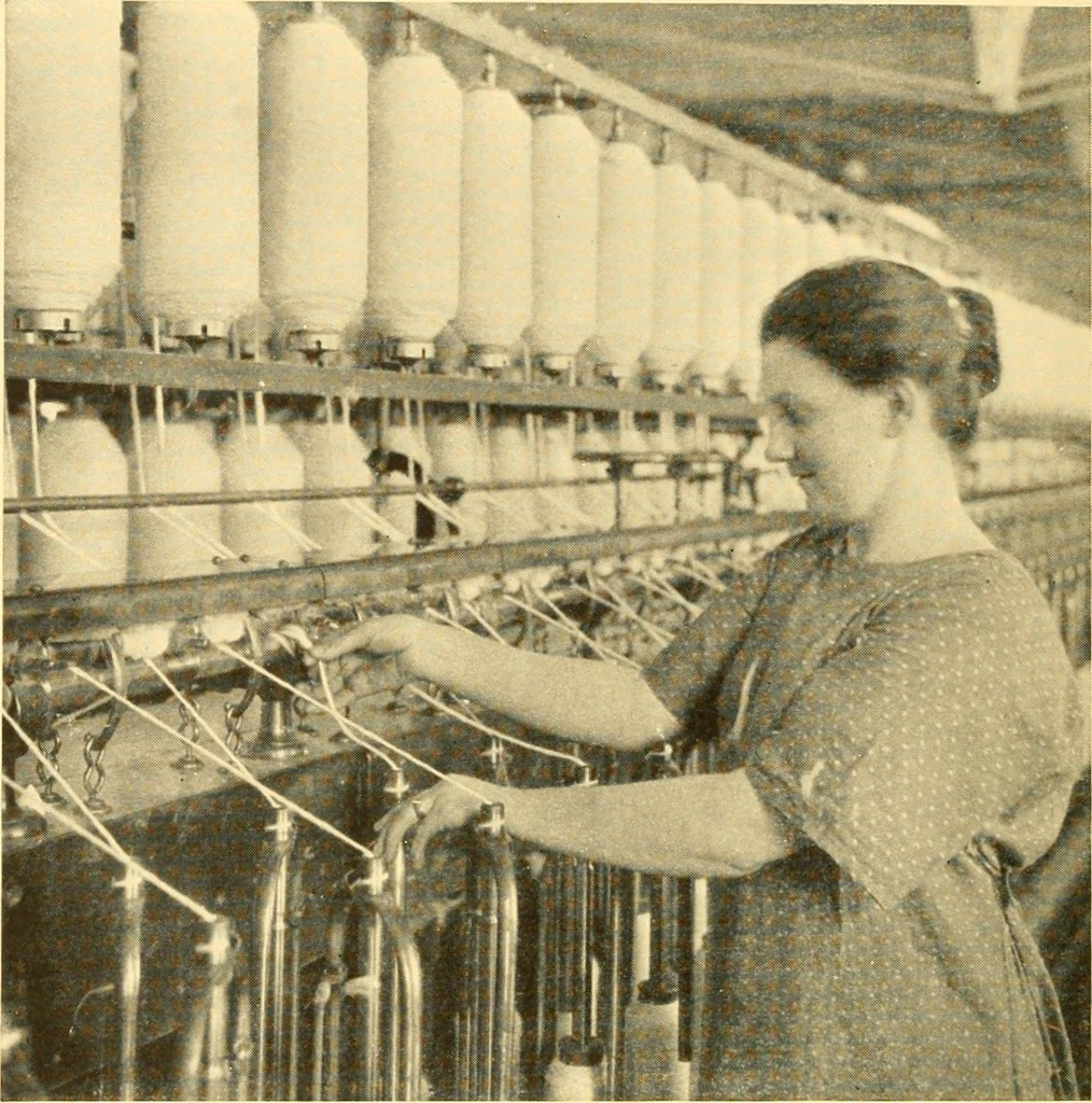 An illustration from Cotton and cotton manufacture, 1921, leaf 31