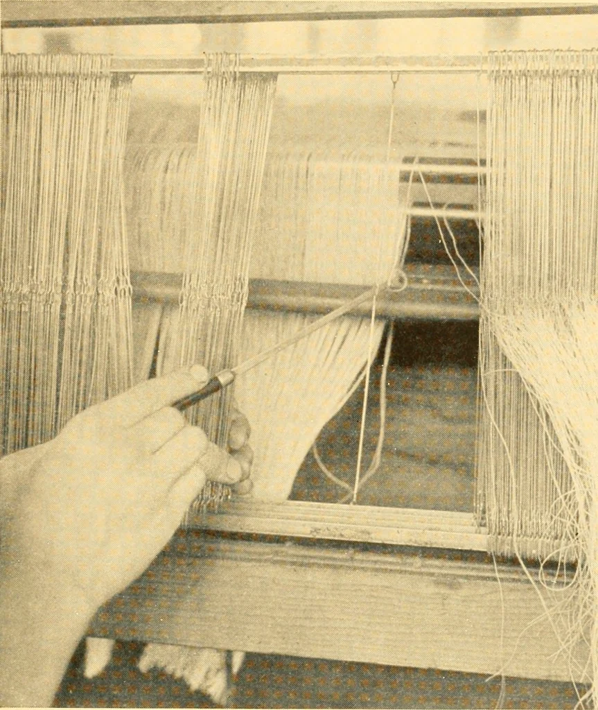An illustration from Cotton and cotton manufacture, 1921, leaf 40