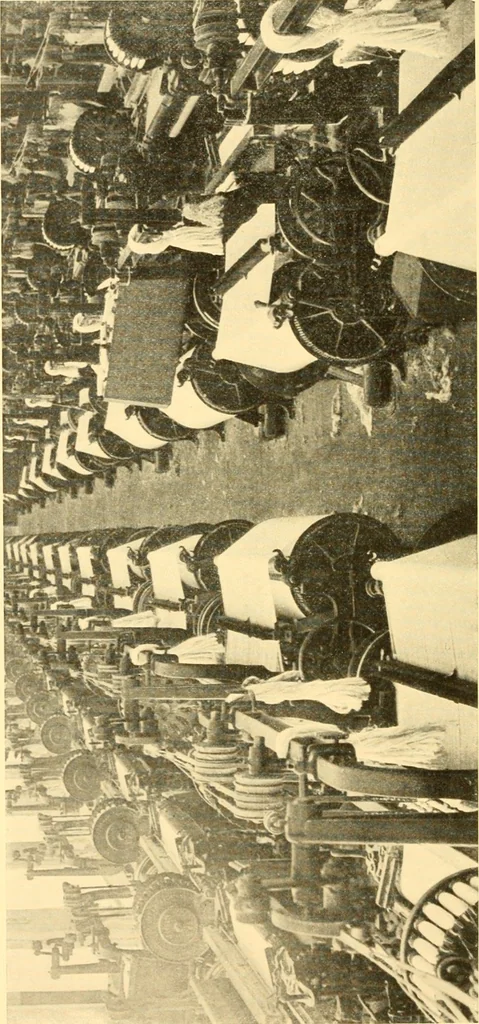 An illustration from Cotton and cotton manufacture, 1921, leaf 41