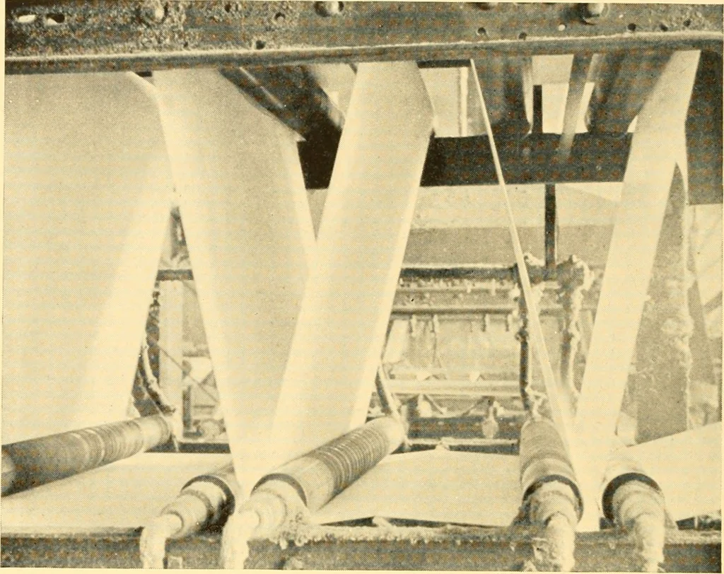 An illustration from Cotton and cotton manufacture, 1921, leaf 45
