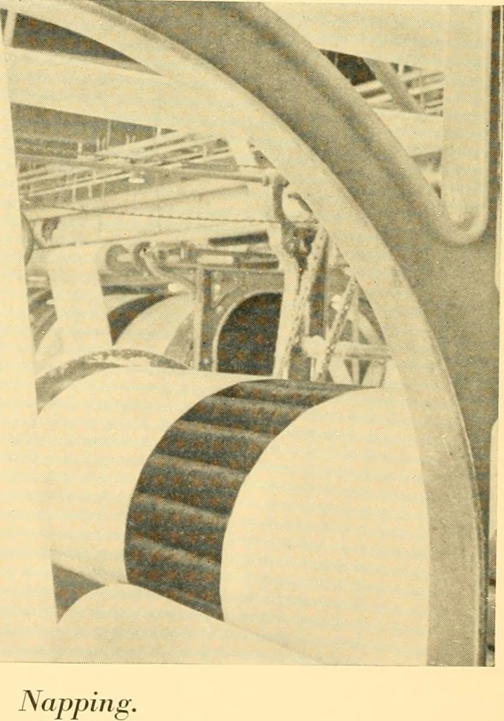 An illustration from Cotton and cotton manufacture, 1921, leaf 45