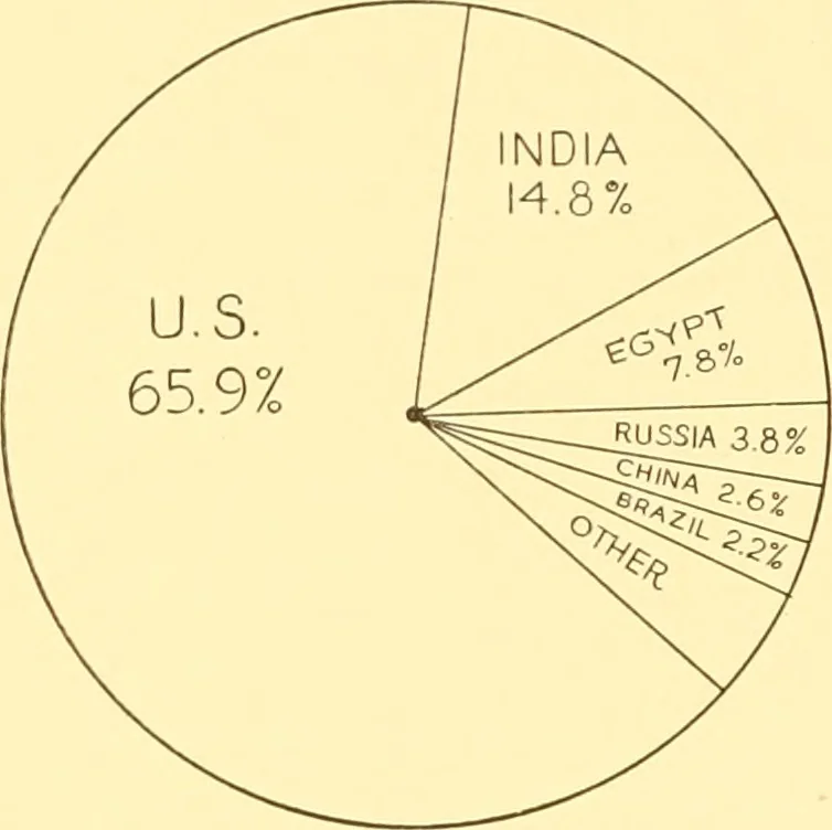 An illustration from Cotton and cotton manufacture, 1921, leaf 63