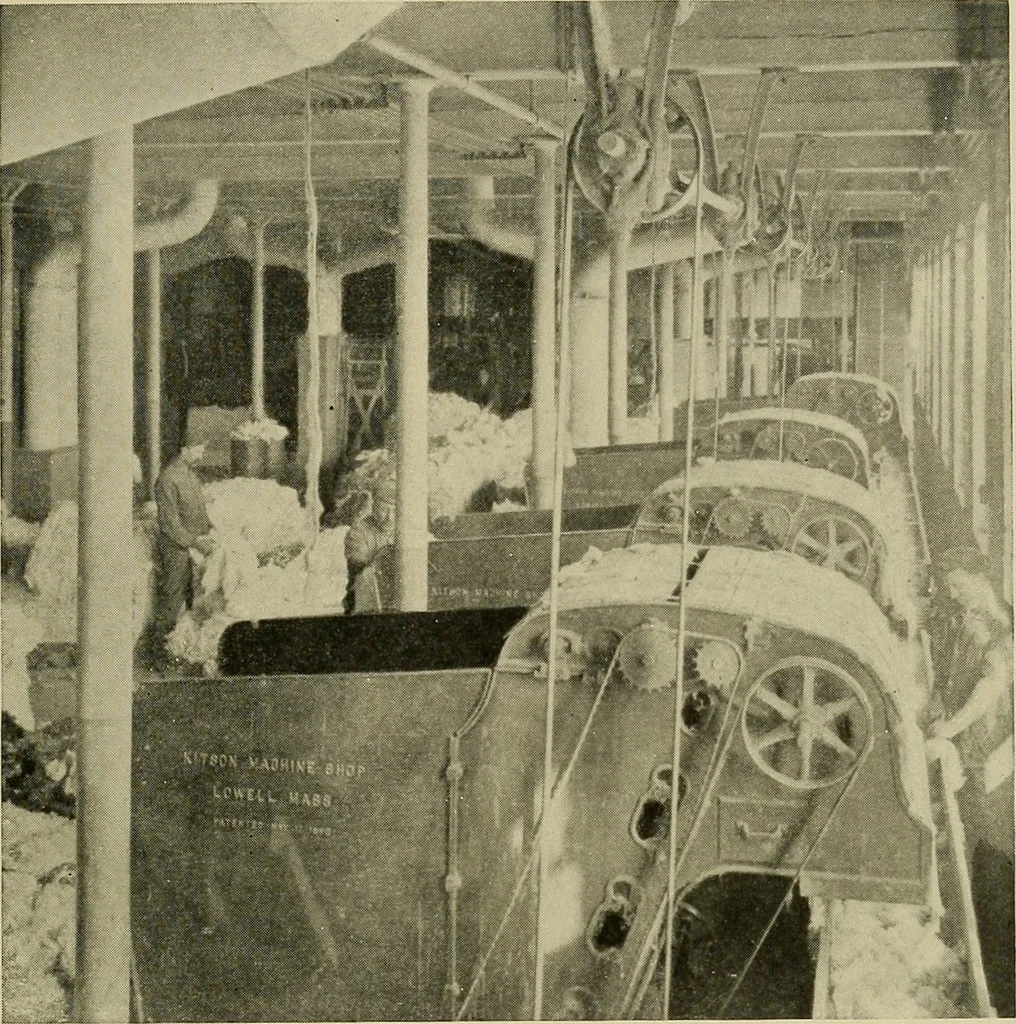 An illustration from Cotton and cotton manufacture, 1921, leaf 26