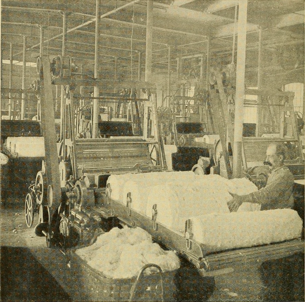 An illustration from Cotton and cotton manufacture, 1921, leaf 27