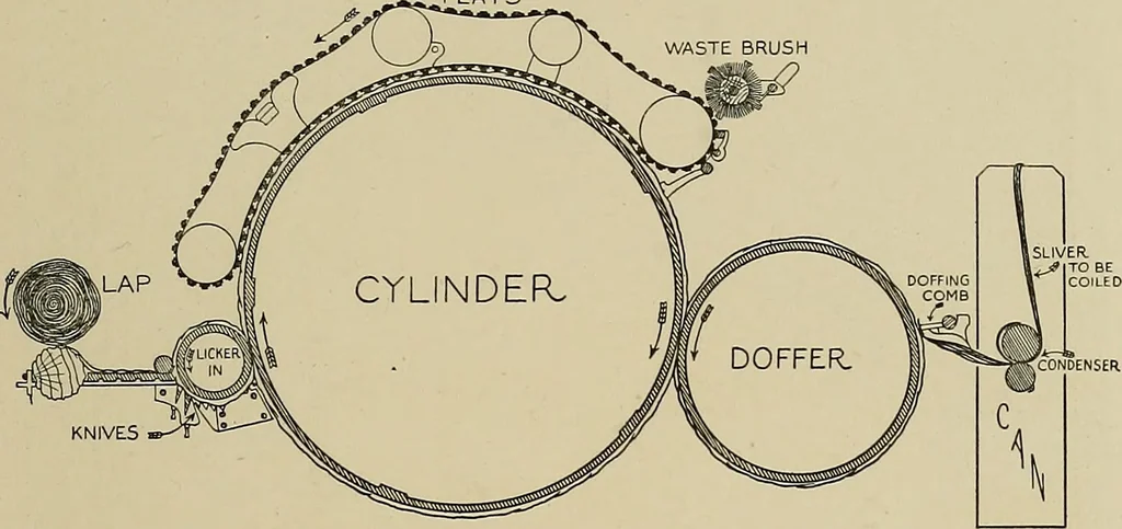 An illustration from Cotton and cotton manufacture, 1921, leaf 28