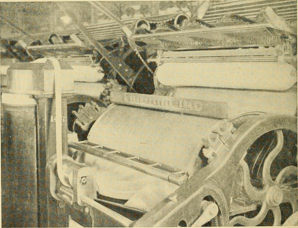 An illustration from Cotton and cotton manufacture, 1921, leaf 29