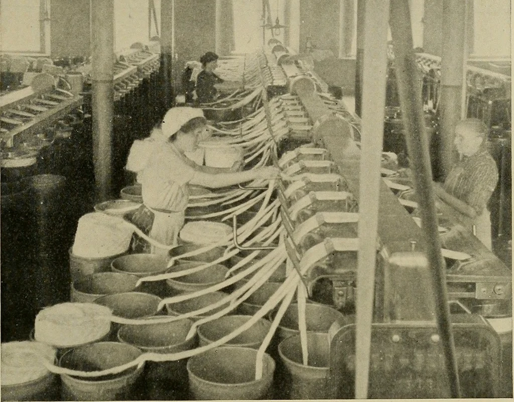 An illustration from Cotton and cotton manufacture, 1921, leaf 30