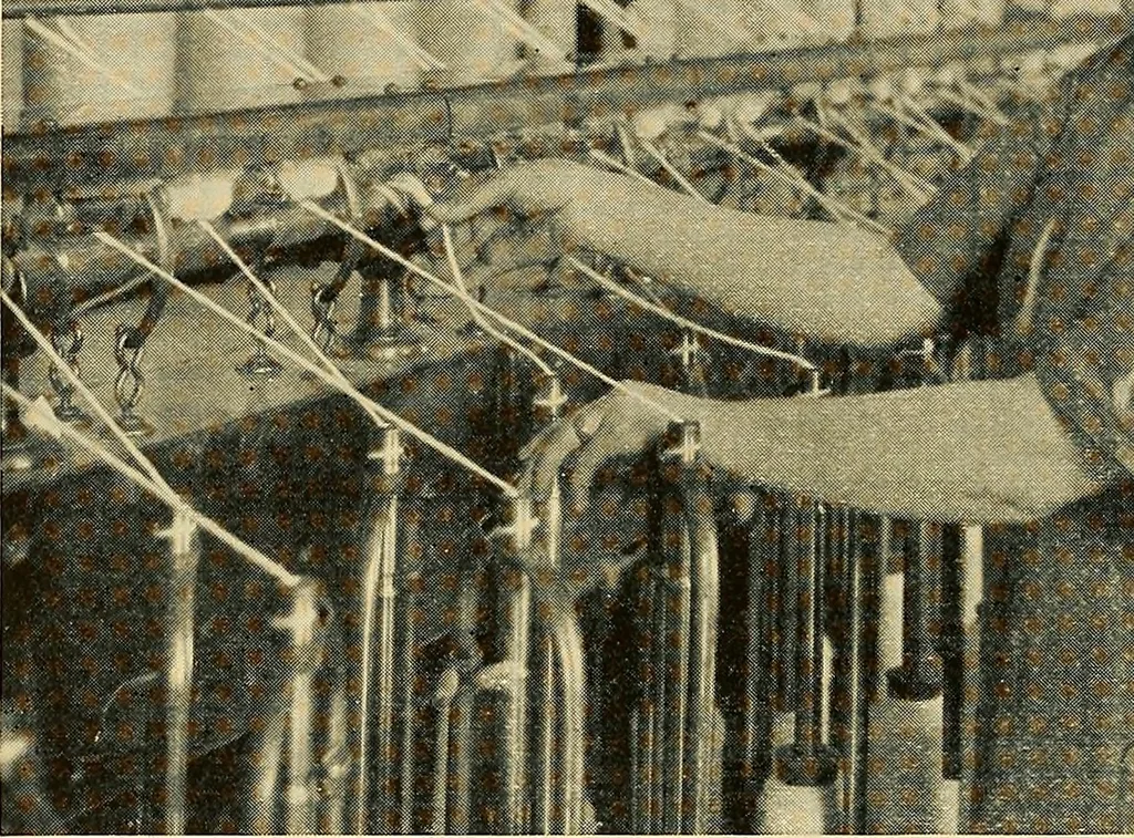 An illustration from Cotton and cotton manufacture, 1921, leaf 31