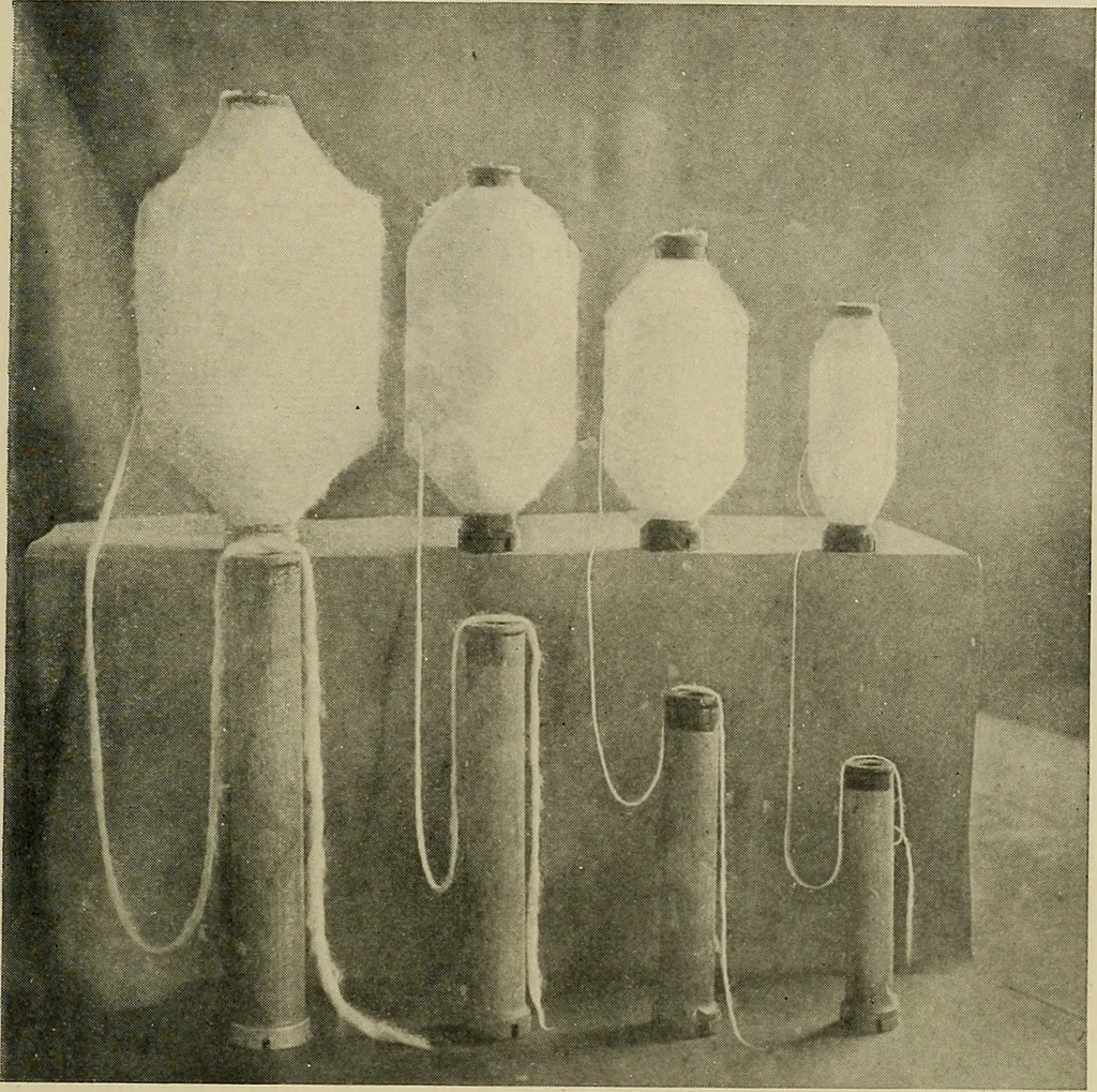 An illustration from Cotton and cotton manufacture, 1921, leaf 32