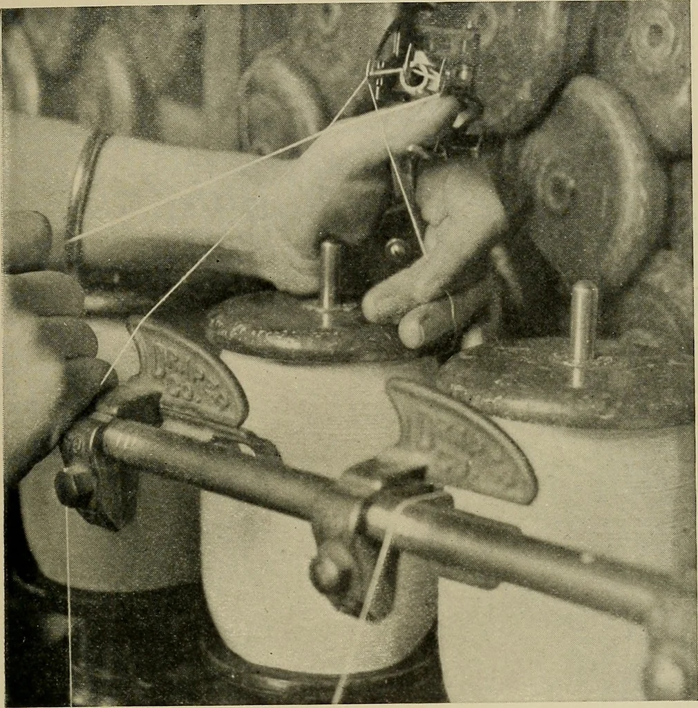 An illustration from Cotton and cotton manufacture, 1921, leaf 36