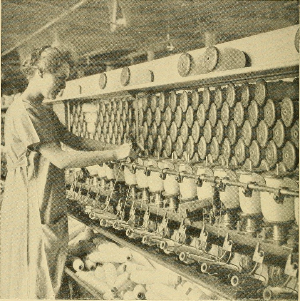 An illustration from Cotton and cotton manufacture, 1921, leaf 37