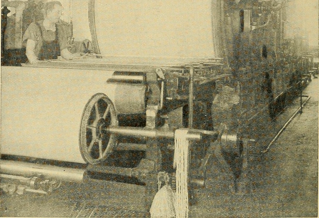 An illustration from Cotton and cotton manufacture, 1921, leaf 39
