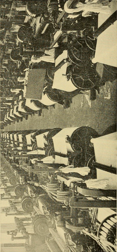 An illustration from Cotton and cotton manufacture, 1921, leaf 41