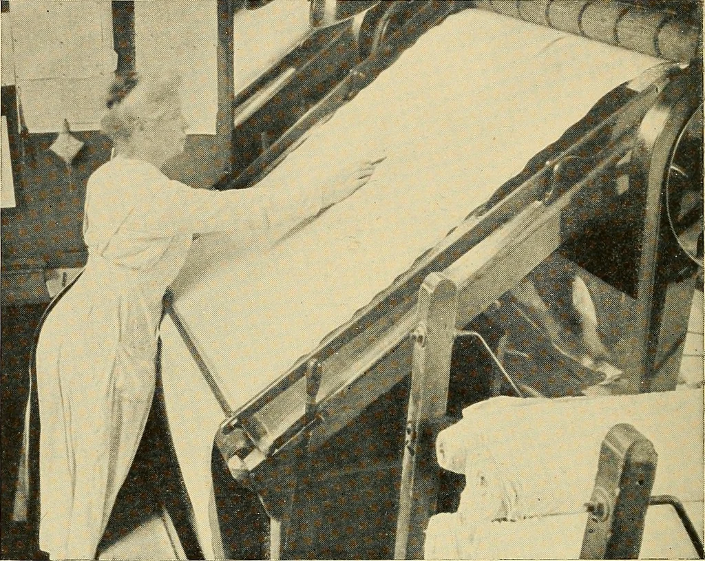 An illustration from Cotton and cotton manufacture, 1921, leaf 43