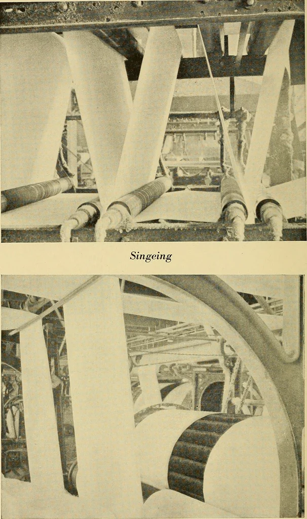 An illustration from Cotton and cotton manufacture, 1921, leaf 45
