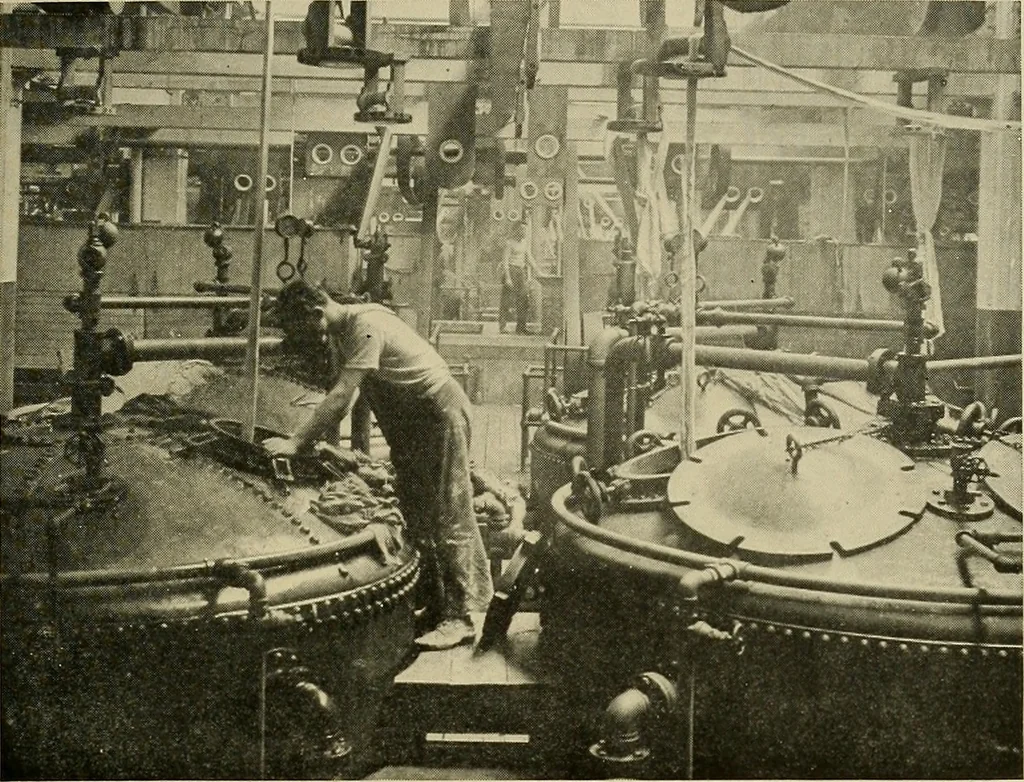 An illustration from Cotton and cotton manufacture, 1921, leaf 46