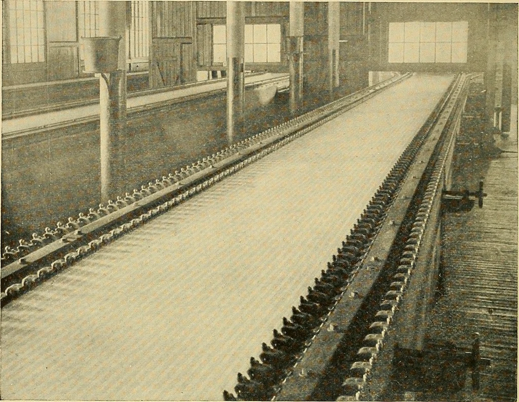 An illustration from Cotton and cotton manufacture, 1921, leaf 51