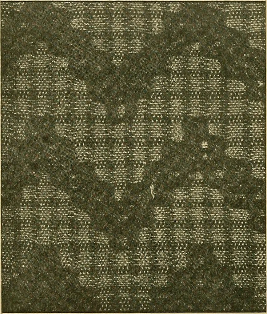 An illustration from A cotton fabrics glossary; containing instructions for the manufacture of every known grade and variety of cotton fabrics .., 1907, leaf 117