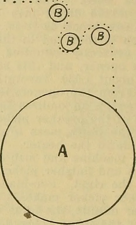 An illustration from A cotton fabrics glossary; containing instructions for the manufacture of every known grade and variety of cotton fabrics .., 1907, leaf 139