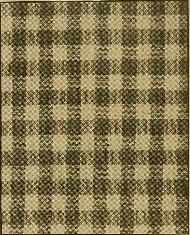 An illustration from A cotton fabrics glossary; containing instructions for the manufacture of every known grade and variety of cotton fabrics .., 1907, leaf 15