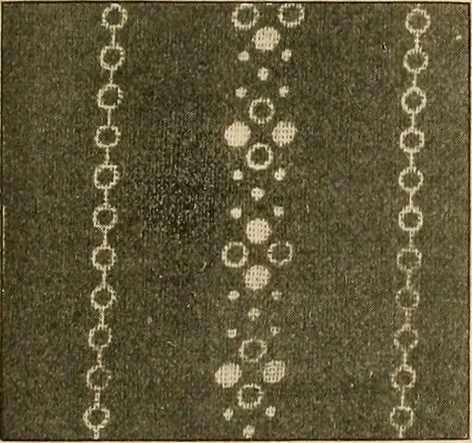 An illustration from A cotton fabrics glossary; containing instructions for the manufacture of every known grade and variety of cotton fabrics .., 1907, leaf 150