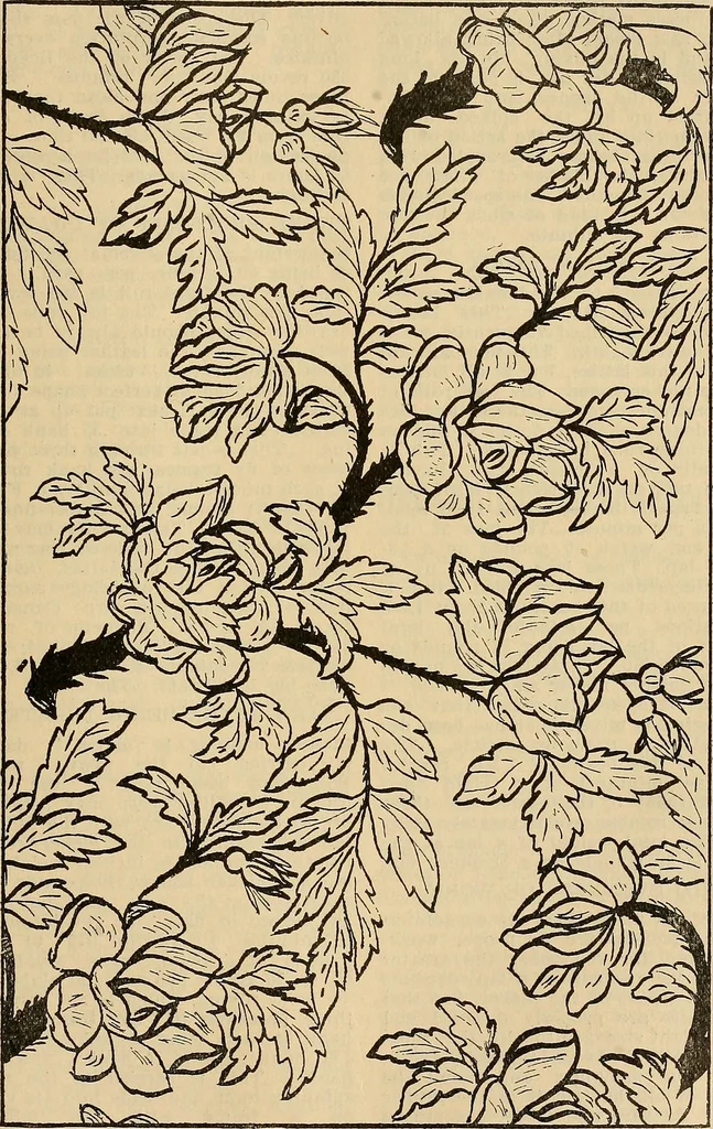 An illustration from A cotton fabrics glossary; containing instructions for the manufacture of every known grade and variety of cotton fabrics .., 1907, leaf 162