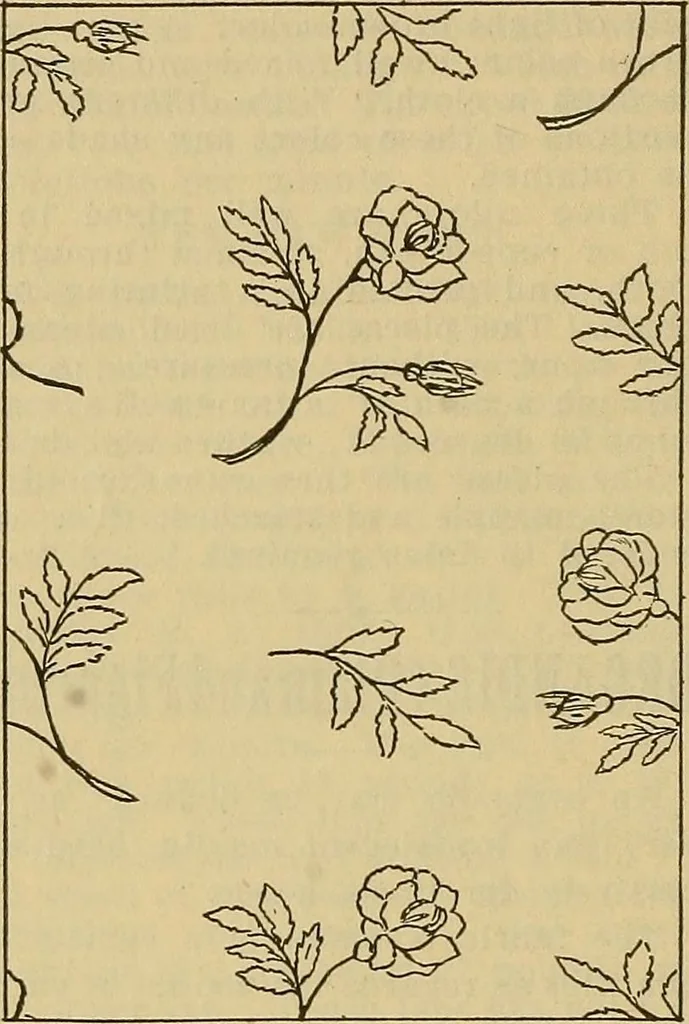 An illustration from A cotton fabrics glossary; containing instructions for the manufacture of every known grade and variety of cotton fabrics .., 1907, leaf 165