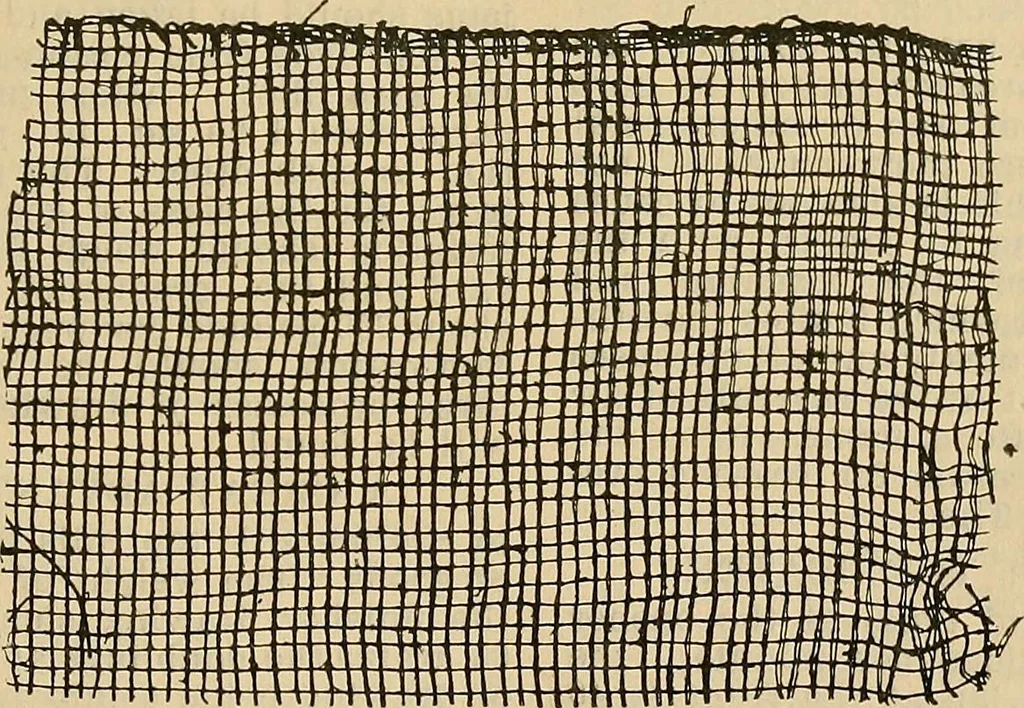 An illustration from A cotton fabrics glossary; containing instructions for the manufacture of every known grade and variety of cotton fabrics .., 1907, leaf 170