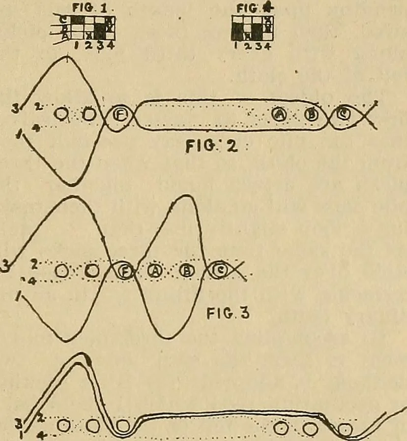 An illustration from A cotton fabrics glossary; containing instructions for the manufacture of every known grade and variety of cotton fabrics .., 1907, leaf 176