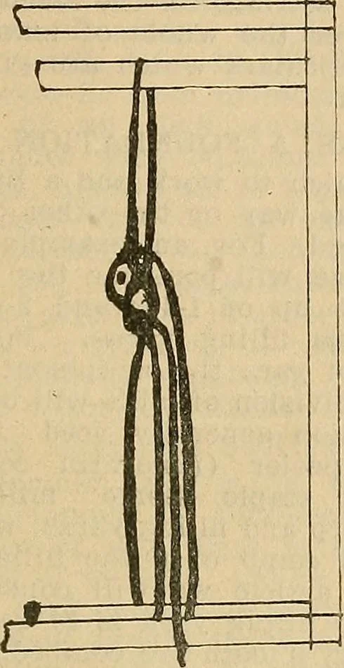An illustration from A cotton fabrics glossary; containing instructions for the manufacture of every known grade and variety of cotton fabrics .., 1907, leaf 206