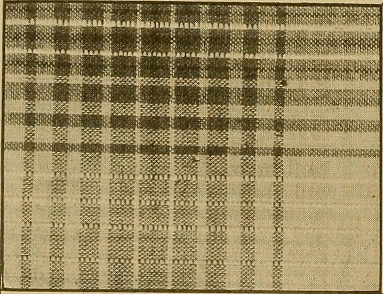 An illustration from A cotton fabrics glossary; containing instructions for the manufacture of every known grade and variety of cotton fabrics .., 1907, leaf 21