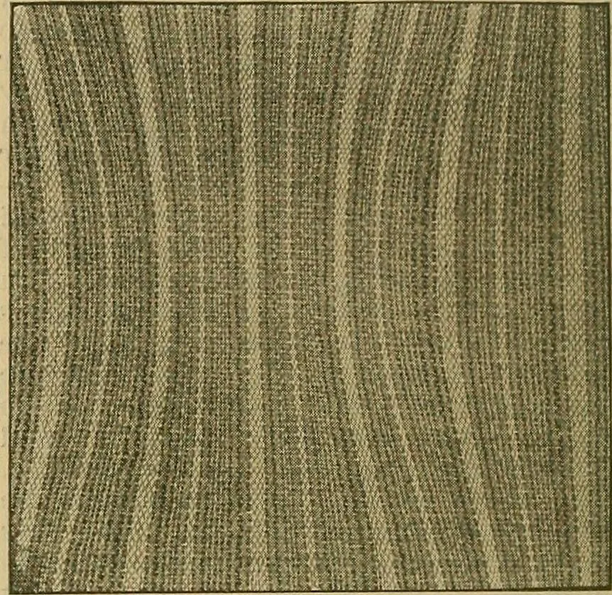 An illustration from A cotton fabrics glossary; containing instructions for the manufacture of every known grade and variety of cotton fabrics .., 1907, leaf 227