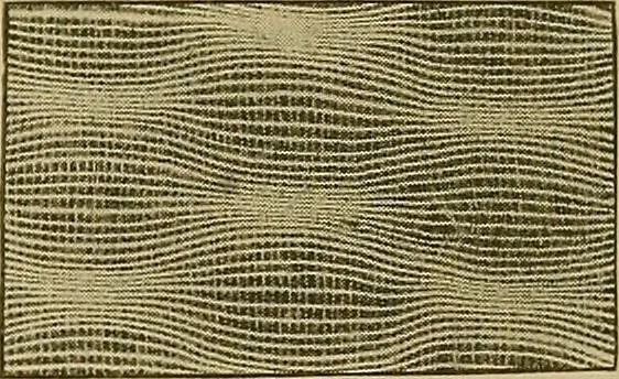 An illustration from A cotton fabrics glossary; containing instructions for the manufacture of every known grade and variety of cotton fabrics .., 1907, leaf 227