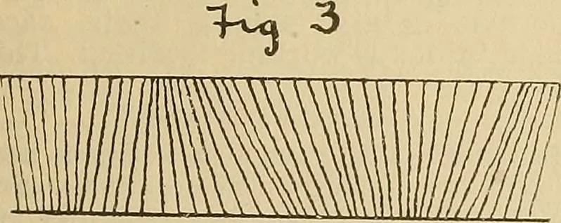 An illustration from A cotton fabrics glossary; containing instructions for the manufacture of every known grade and variety of cotton fabrics .., 1907, leaf 228
